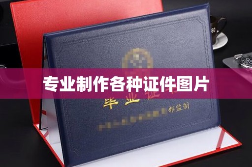 甘南专业制作各种证件图片