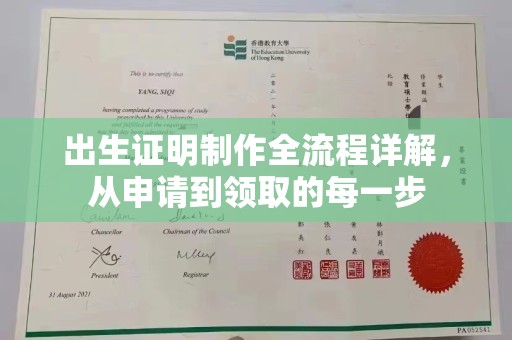 甘南出生证明制作全流程详解，从申请到领取的每一步