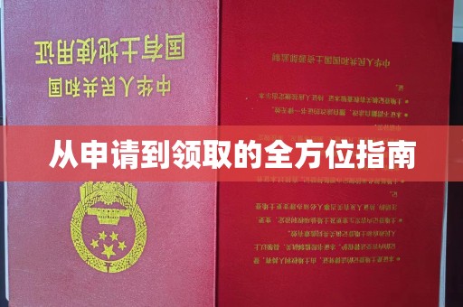 甘南从申请到领取的全方位指南