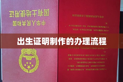 甘南出生证明制作的办理流程