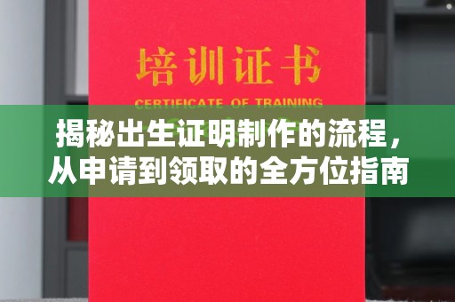 甘南揭秘出生证明制作的流程，从申请到领取的全方位指南