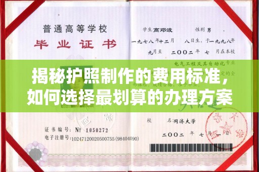 甘南揭秘护照制作的费用标准，如何选择最划算的办理方案？