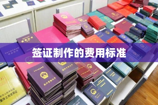 甘南签证制作的费用标准