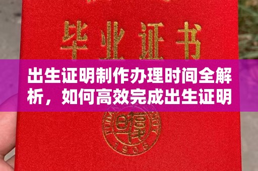 甘南出生证明制作办理时间全解析，如何高效完成出生证明申请？