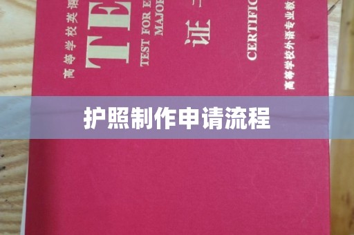 甘南护照制作申请流程