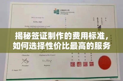 甘南揭秘签证制作的费用标准，如何选择性价比最高的服务？