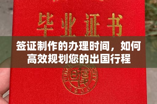 甘南签证制作的办理时间，如何高效规划您的出国行程