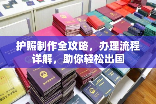 甘南护照制作全攻略，办理流程详解，助你轻松出国